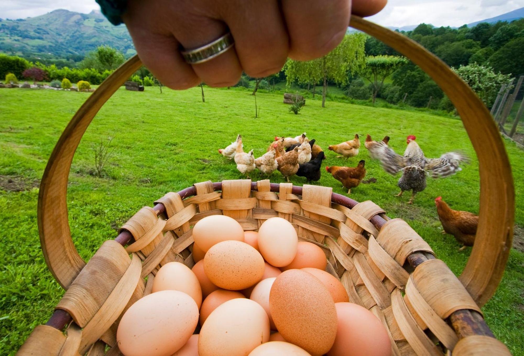 Casa Rural Zigako Etxezuria エクステリア 写真